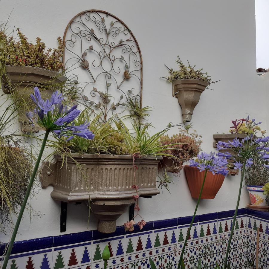 Casa De Las Flores - A Picture Perfect Location! El Gastor Exterior photo